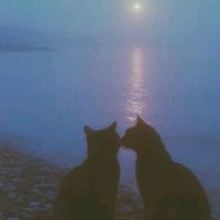 al3xx.zvr4s