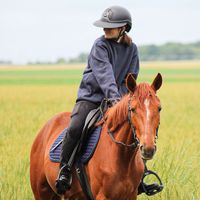 newthepony