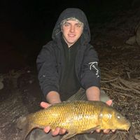 tomas.grx