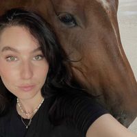 horse vs. girl math