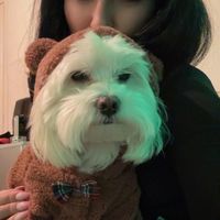 andreeaandreea0308