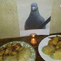 szlag mnie trafia chce się wyć