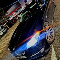 rechinul520