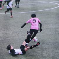 fabri_2503_9