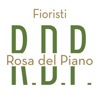 rosadelpianofioristi