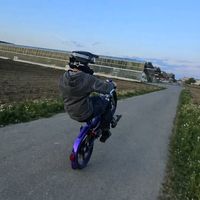 puch_tom