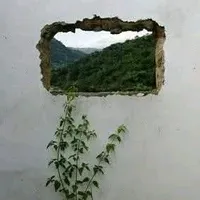 original sound - anayach461