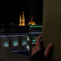 bint.alzhr