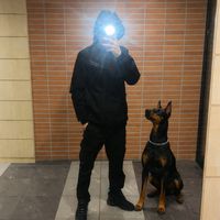 tisko_13k