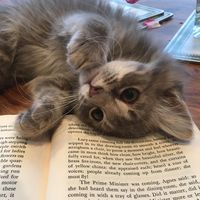 miasreading