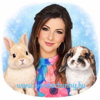 wonderbunnyzsofi