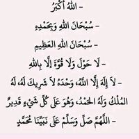 bahiaahamadammadi5