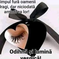 sunet original