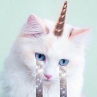 .yeojinxcx