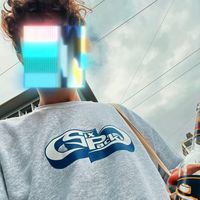 zh.sbb.vandale