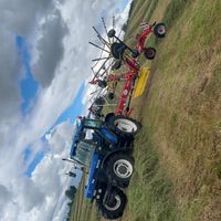 phelim_7840
