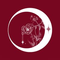 eclipsestore.com.pl