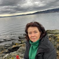 user73nqs5suyylipp