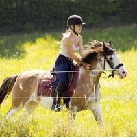 little.coconut.pony