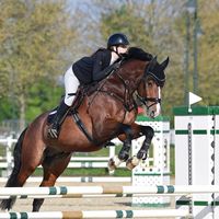 lillyshorses_