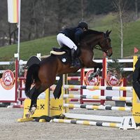 marcel.moed