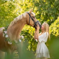 jamaica._palomino