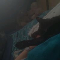 ohtpth6