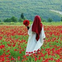 nargis.451