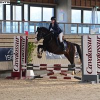 val_a_poney