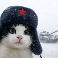 оригинальный звук