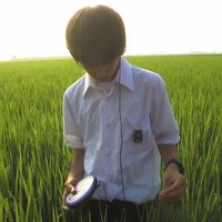 son original - SKIDIXメ