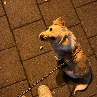 leonie_lo16
