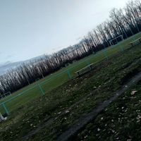 mr_citrom8