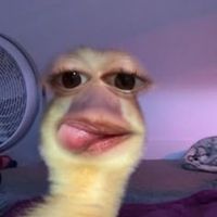 beanboy692