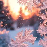 abigail.milcheva0