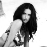 iconic._model