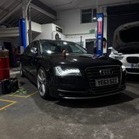 s8_nzu