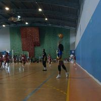 alic_ia120
