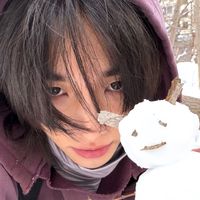 hyvnjinversee