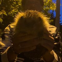 joelolssonnordin