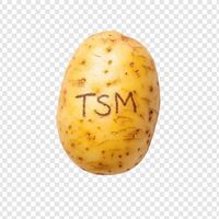 _tsm_le_vrai