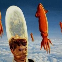 zaqph_hdjfj