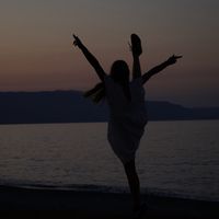 lari_20121