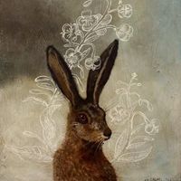 fawns.dream