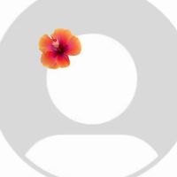 user0505775