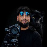 studiosotis