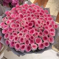 sarahbthy