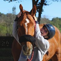 emmavassura.hr98