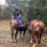 eredeti hang
