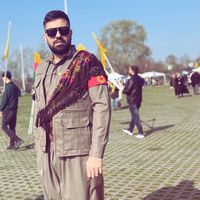 ypg559
